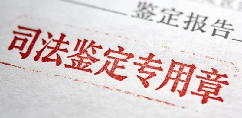 在明亮的诊室，医生正向康复中的