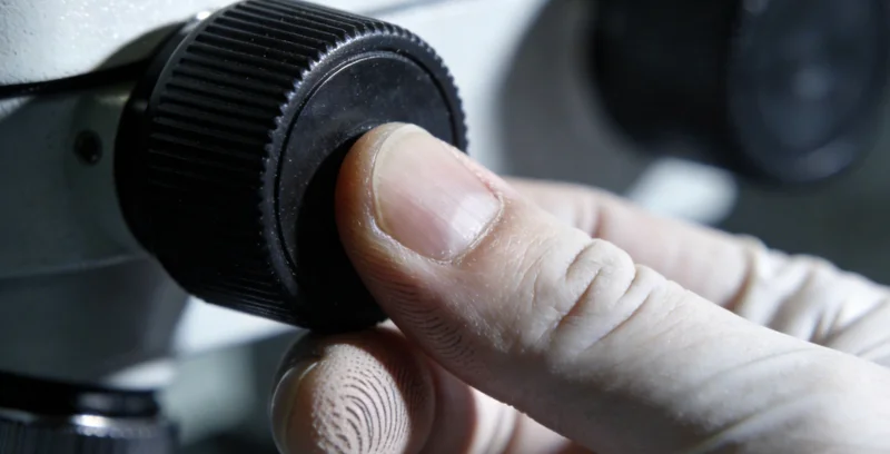 表现不同检测报告或机构logo