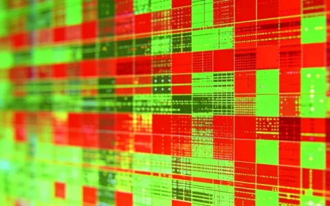 绵阳CMV基因检测机构查询