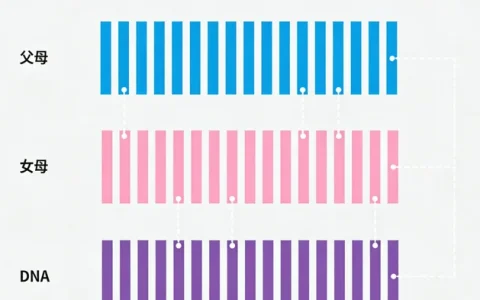 萍乡胸腔积液mNGS基因检测中心查询