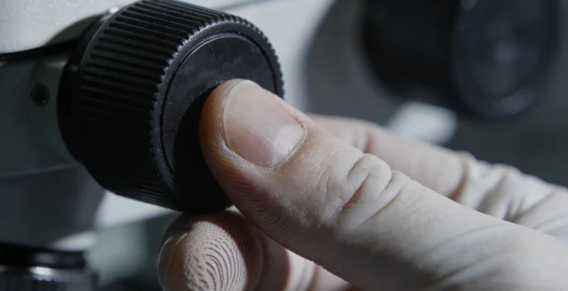 对比图表,展示不同检测路径的优