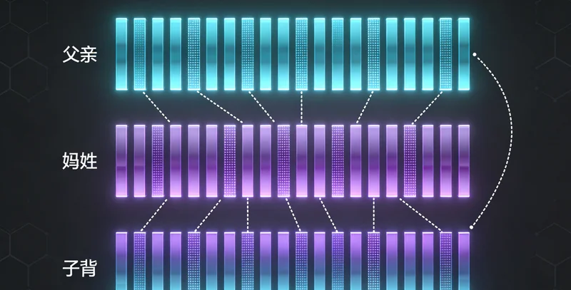 象征预防与支持：安全套、健康手