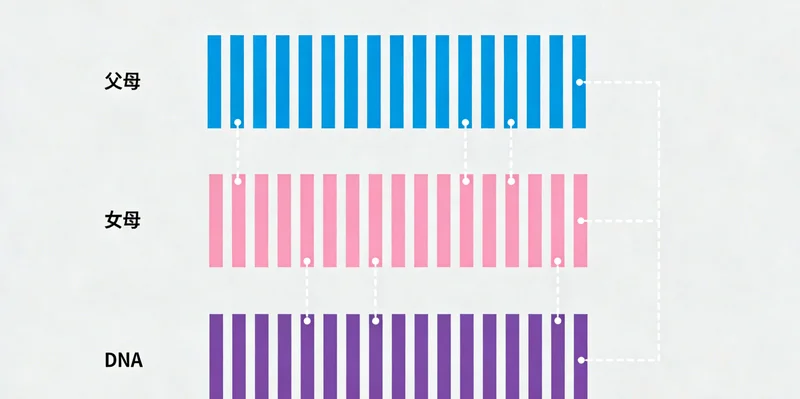 呼吸科医生正在操作支气管镜,进