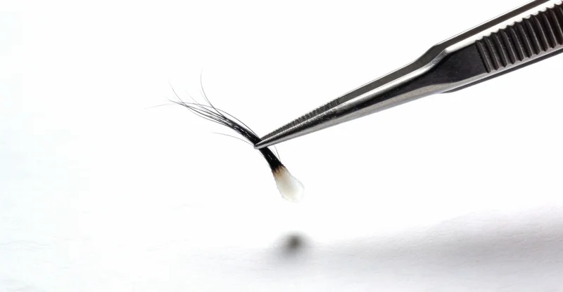 形象展示不同类型检测机构的特点