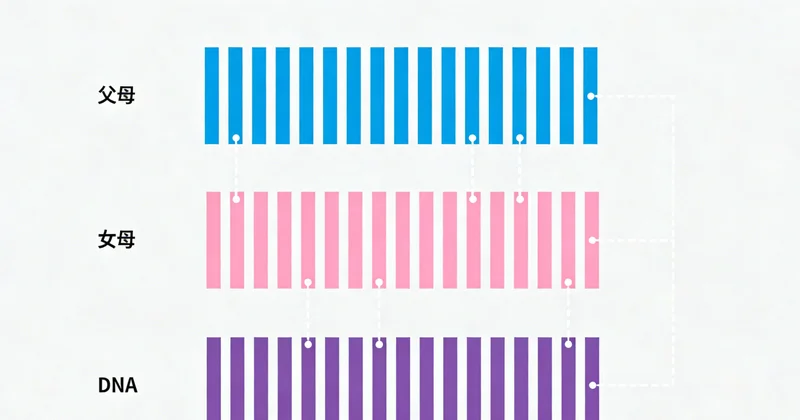 展示引起肺炎的各种不同病原体（