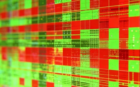 秦皇岛支原体基因检测检测去哪做？最新正规机构名单与避坑指南