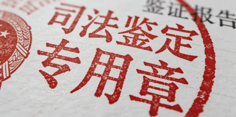 康复中的患者在家中与家人温馨相