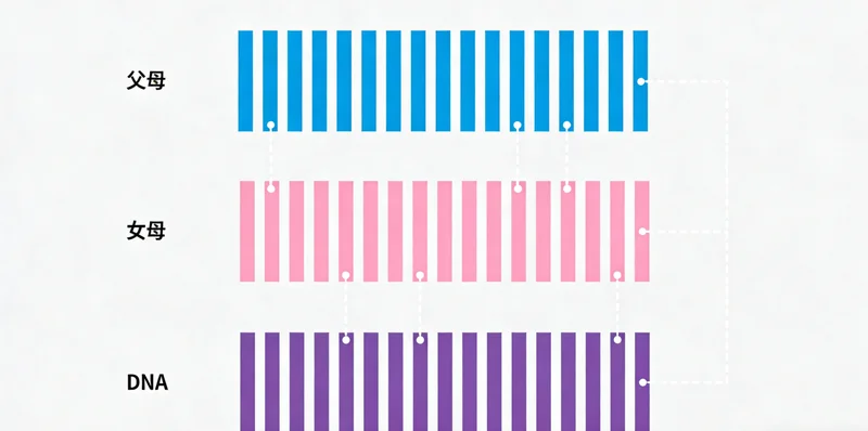 一位中年男性在咨询医生，背景有