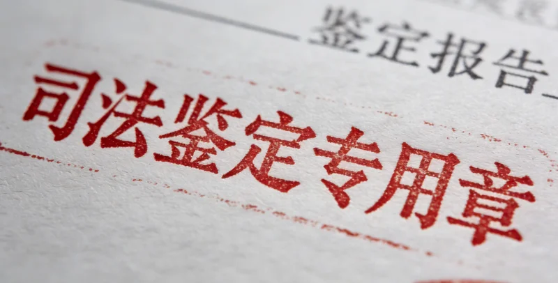 在牧区或养殖场，劳动者正在进行