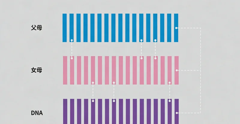 象征健康生活的图片,如新鲜蔬果