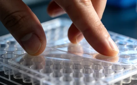 中卫脑炎脑膜炎病原基因检测：2026精选机构全名单与避坑指南（本地查询）