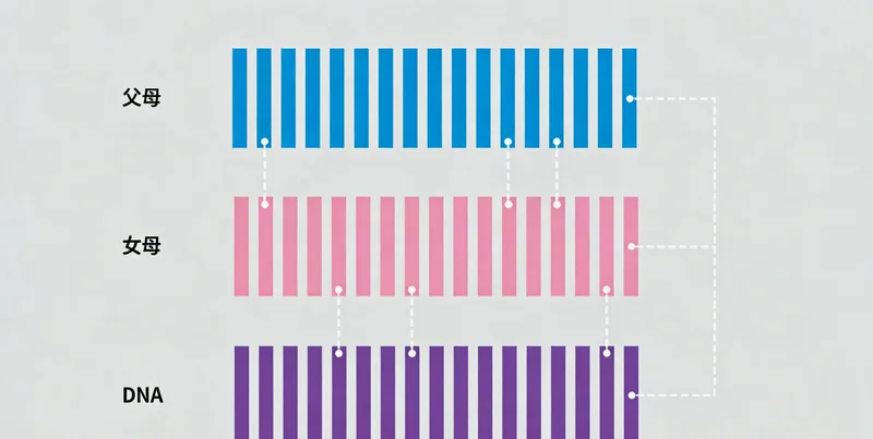 一位中年女性正在诊室内与医生愉