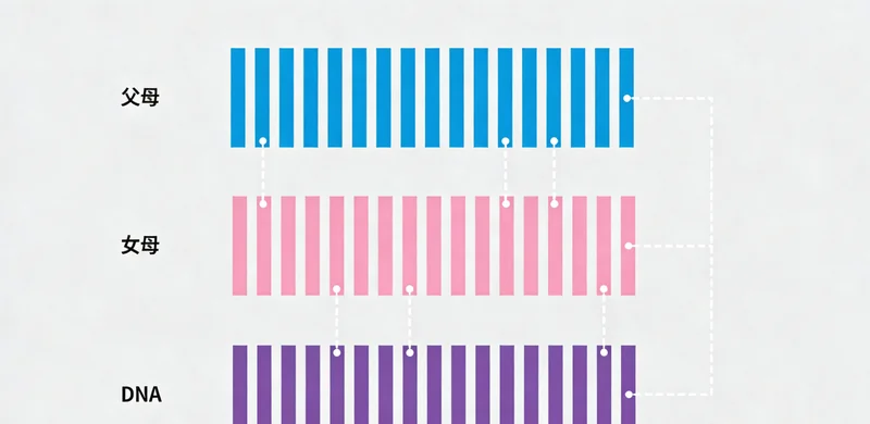 健康生活宣传图，包含运动、体检