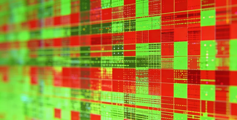 一份详细的细菌基因检测报告特写