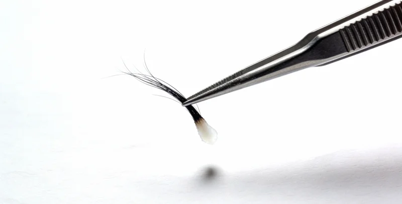 将黄山标志性景观(如迎客松)与