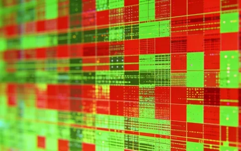 汉中TB-DNA基因检测什么地方做