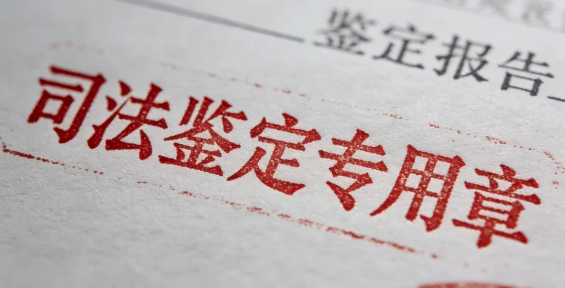 医生在诊室内，与一个家庭共同查