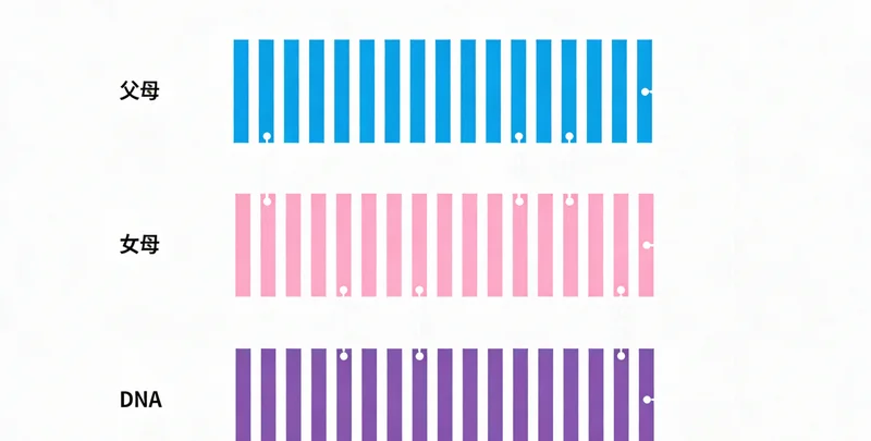 象征健康生活的画面,包括运动、