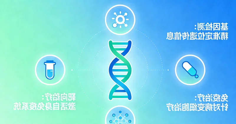 BRAF靶向药物作用机制示意图