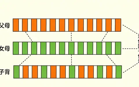 乌海结核基因检测受理机构