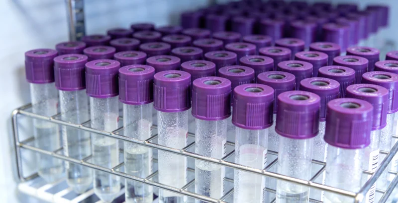 象征健康生活的图片，包括绿色植