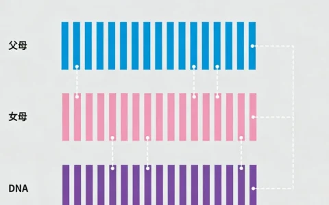 重庆血液mNGS基因检测检测地址