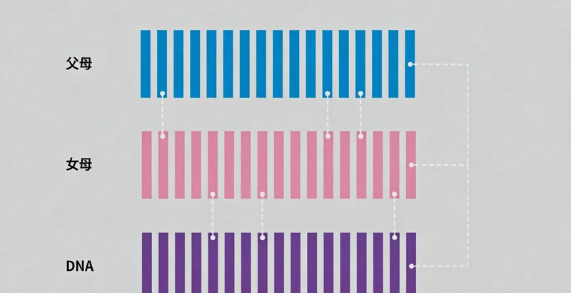 一位中年男性劳动者在田间休息,