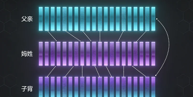 湛江渔民在渔船上作业的场景，体