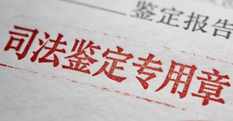 象征选择与对比的视觉图，如分叉