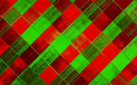 绍兴RNA mNGS基因检测服务机构