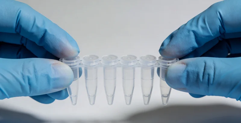 实验室技术人员正在生物安全柜内