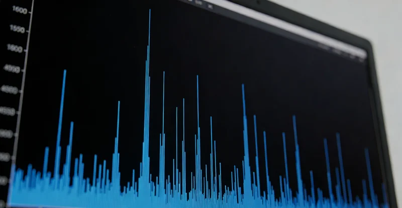 显微镜下观察到的曲霉菌菌丝和孢