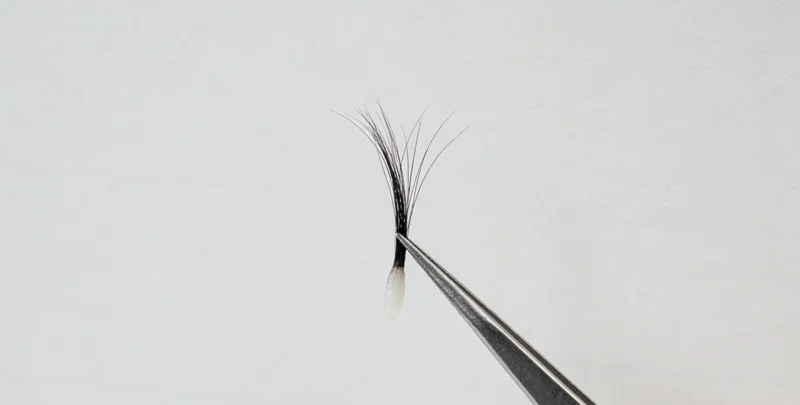 高危型HPV病毒结构模型示意图