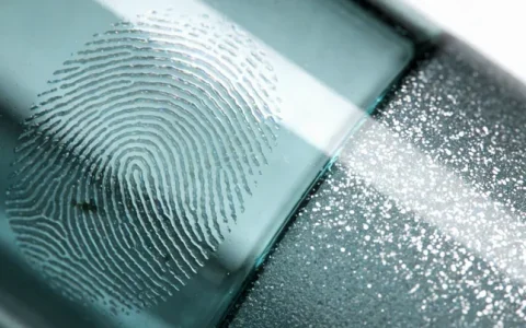 枣庄mNGS准确率基因检测哪家公司最好