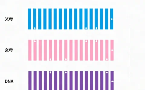 宜春做病毒性脑炎基因检测哪家机构最好