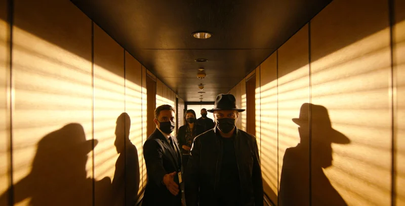 医生与患者交流病情，或显示免疫