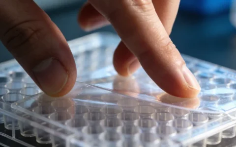 三明非结核分枝杆菌基因检测权威机构地址