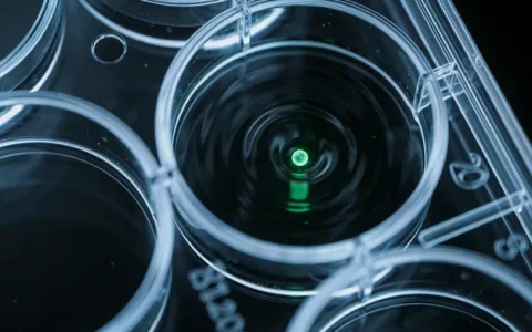 宣威神經(jīng)纖維瘤病I型基因檢測(cè)正規(guī)機(jī)構(gòu)電話地址大全