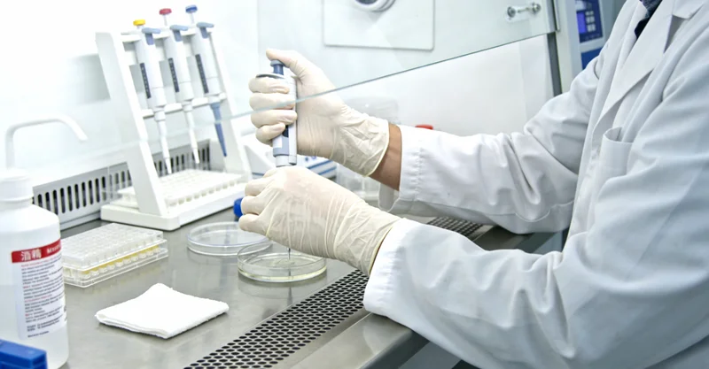 五指山家庭温馨沟通场景，讨论健