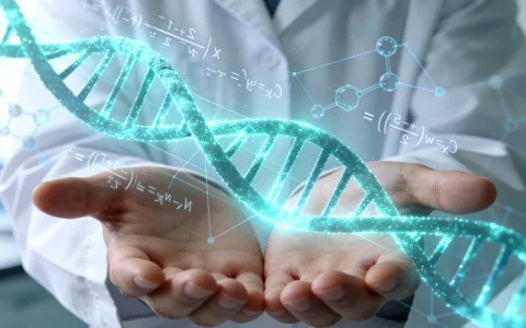 东乌旗PD-L1 SP263检测推荐中心地址汇总（按区查找）