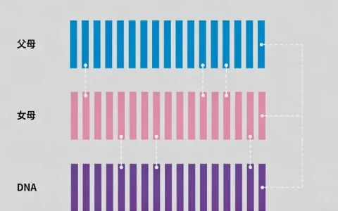 什邡LQTSβ受体阻滞剂基因检测正规机构更新名单总汇（动态）