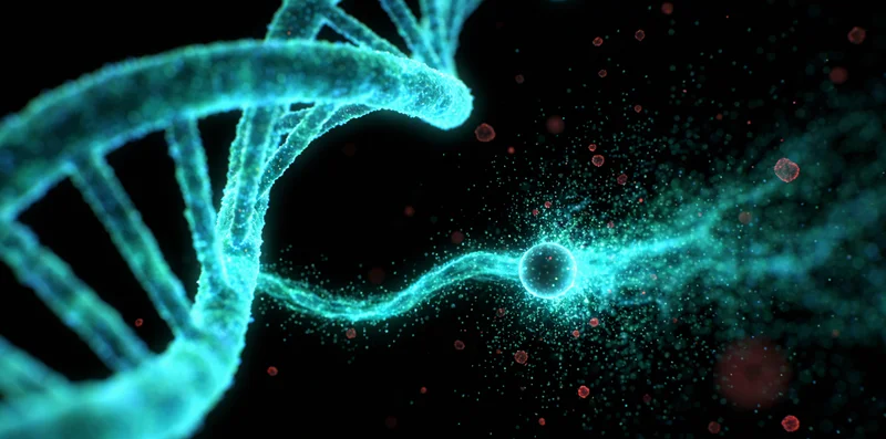 酒泉听神经瘤常见症状示意图