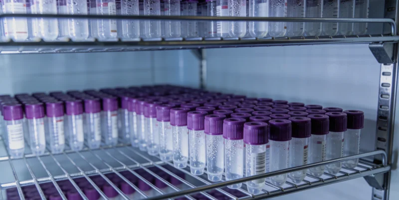 安顺家庭基于基因检测结果制定健