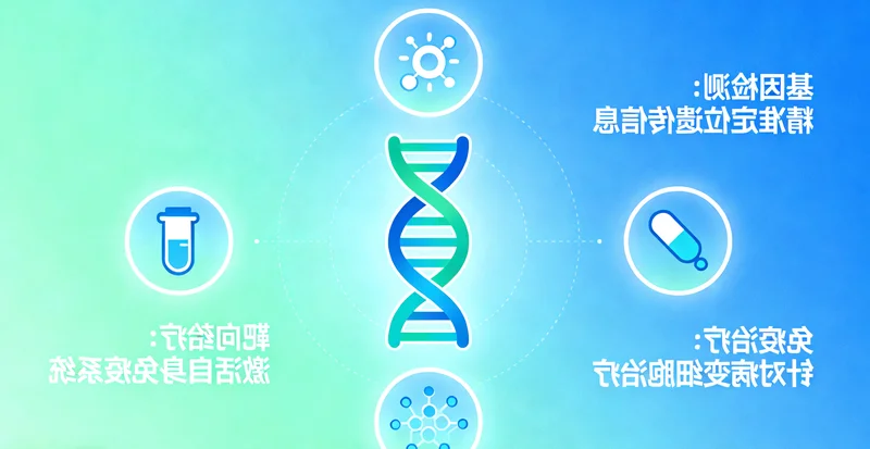 淮南地区甲状腺健康知识科普示意