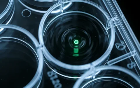 建瓯荷兰脂质网络标准基因检测办理点地址查询