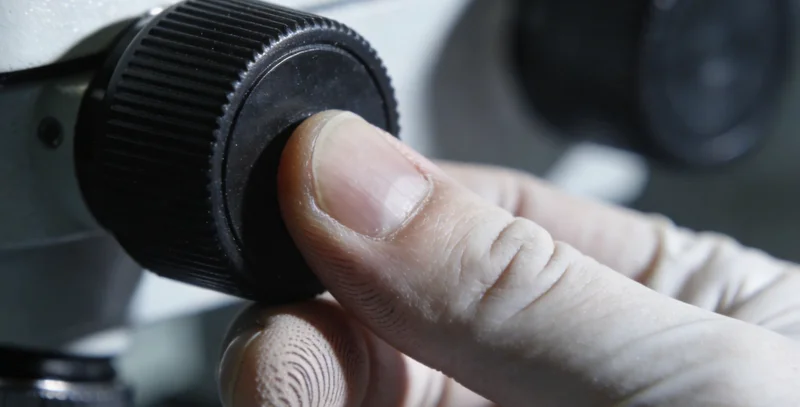 滨州遗传咨询师与家庭沟通基因报