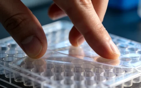 嵊州CHD基因检测正规机构名单