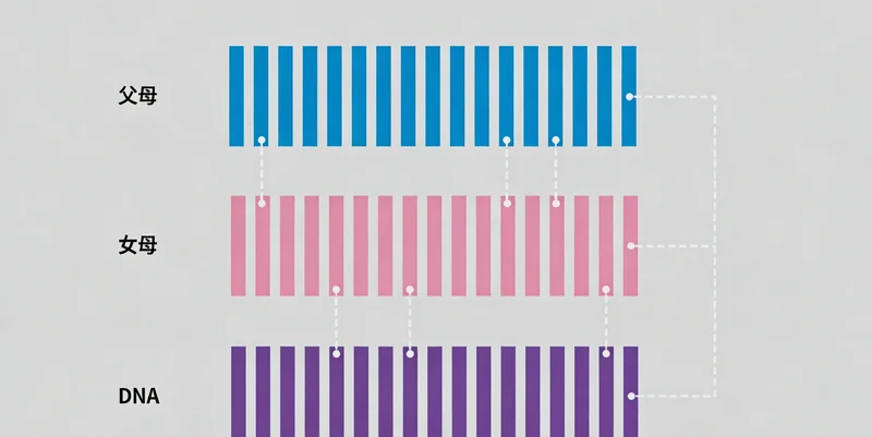 广德家庭成员与遗传咨询师沟通