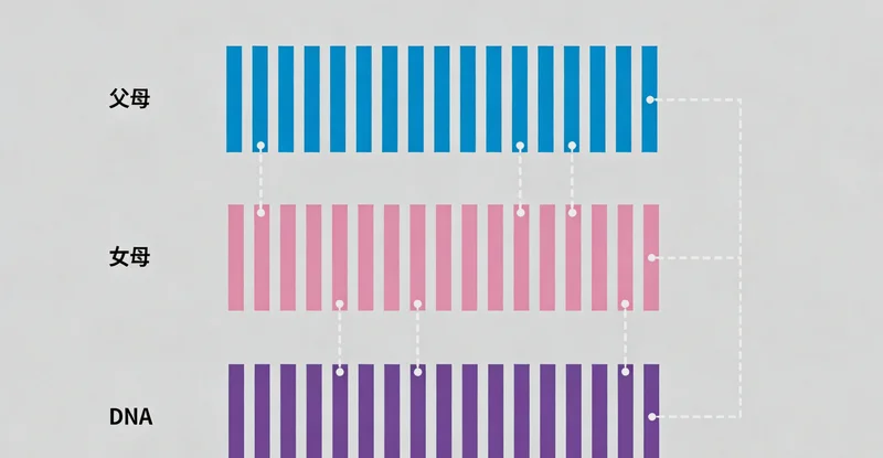 甘孜州医生与患者进行用药咨询沟