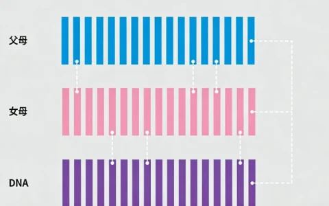 奈曼儿茶酚胺敏感性多形性室速基因检测最新机构地图与信息盘点